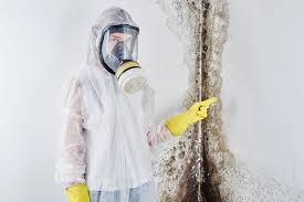 Why You Should Choose Our Mold Remediation Services in Hummelstown, PA